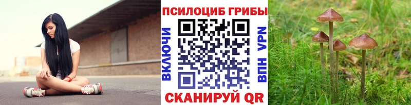 Псилоцибиновые грибы прущие грибы  Тобольск 